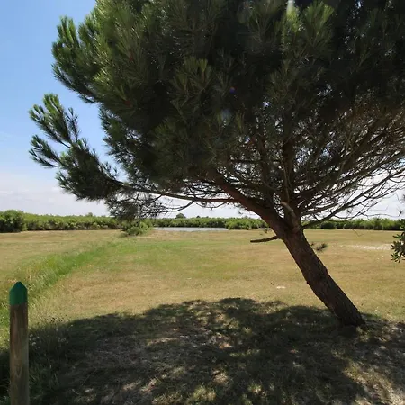 Petite Maison Avec Annexe Independante Vakantiehuis *